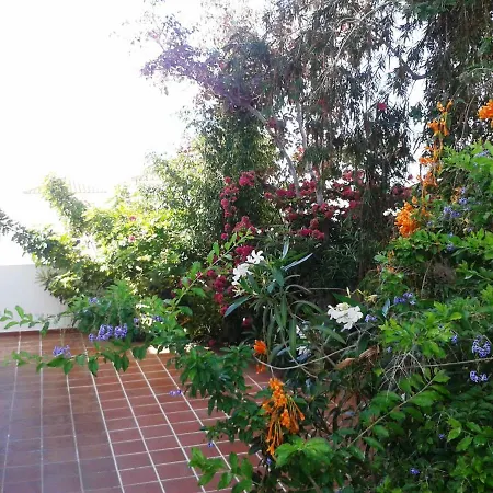 Casa Vista Y Jardin En Costa Adeje * Costa Adeje (Tenerife)